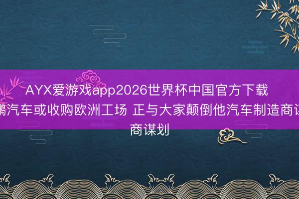 AYX爱游戏app2026世界杯中国官方下载 小鹏汽车或收购欧洲工场 正与大家颠倒他汽车制造商谋划