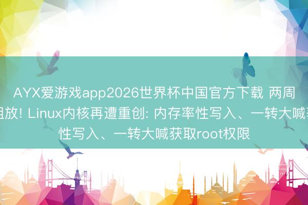 AYX爱游戏app2026世界杯中国官方下载 两周爆出第三个粗放! Linux内核再遭重创: 内存率性写入、一转大喊获取root权限
