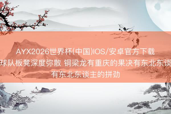 AYX2026世界杯(中国)IOS/安卓官方下载 宿茂臻: 球队板凳深度弥散 铜梁龙有重庆的果决有东北东谈主的拼劲