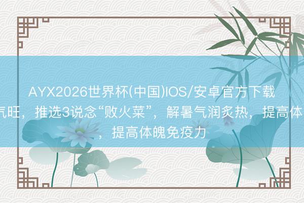 AYX2026世界杯(中国)IOS/安卓官方下载 夏天火气旺，推选3说念“败火菜”，解暑气润炙热，提高体魄免疫力