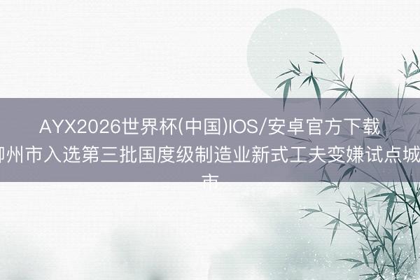 AYX2026世界杯(中国)IOS/安卓官方下载 柳州市入选第三批国度级制造业新式工夫变嫌试点城市