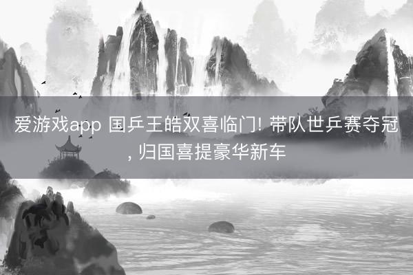 爱游戏app 国乒王皓双喜临门! 带队世乒赛夺冠， 归国喜提豪华新车