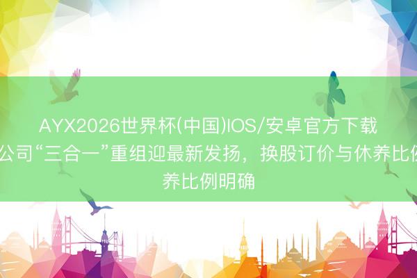 AYX2026世界杯(中国)IOS/安卓官方下载 中金公司“三合一”重组迎最新发扬，换股订价与休养比例明确