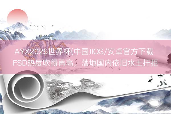 AYX2026世界杯(中国)IOS/安卓官方下载 FSD热度吹得再高，落地国内依旧水土扞拒