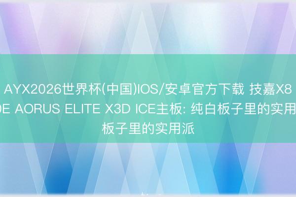 AYX2026世界杯(中国)IOS/安卓官方下载 技嘉X870E AORUS ELITE X3D ICE主板: 纯白板子里的实用派