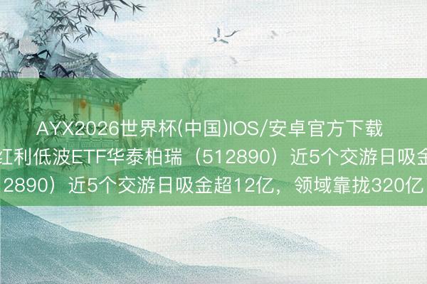 AYX2026世界杯(中国)IOS/安卓官方下载 “耐性成本”捏续深爱！红利低波ETF华泰柏瑞（512890）近5个交游日吸金超12亿，领域靠拢320亿