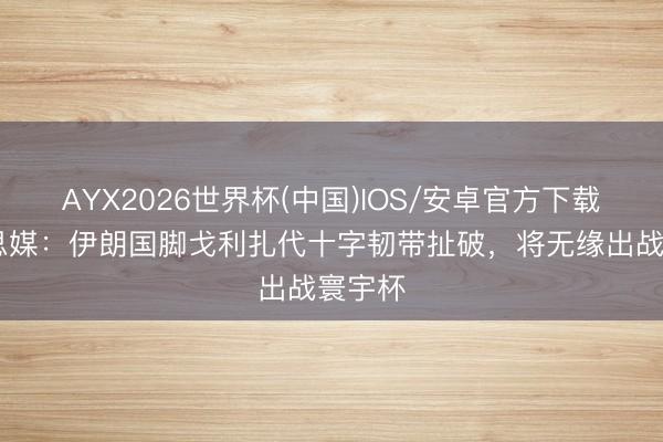 AYX2026世界杯(中国)IOS/安卓官方下载 好意思媒：伊朗国脚戈利扎代十字韧带扯破，将无缘出战寰宇杯