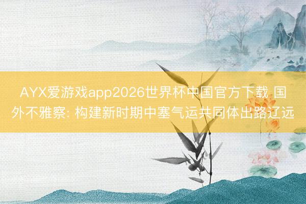 AYX爱游戏app2026世界杯中国官方下载 国外不雅察: 构建新时期中塞气运共同体出路辽远