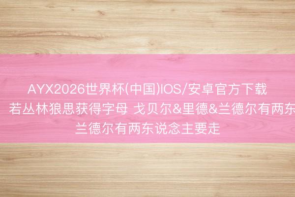 AYX2026世界杯(中国)IOS/安卓官方下载 乔·约翰逊：若丛林狼思获得字母 戈贝尔&里德&兰德尔有两东说念主要走