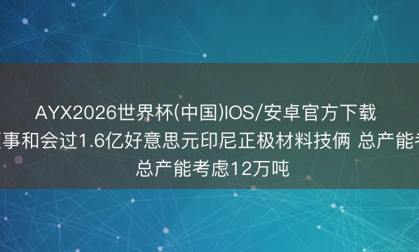 AYX2026世界杯(中国)IOS/安卓官方下载 龙蟠科技董事和会过1.6亿好意思元印尼正极材料技俩 总产能考虑12万吨