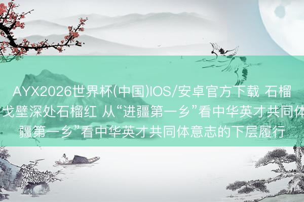 AYX2026世界杯(中国)IOS/安卓官方下载 石榴花开 籽籽齐心丨戈壁深处石榴红 从“进疆第一乡”看中华英才共同体意志的下层履行