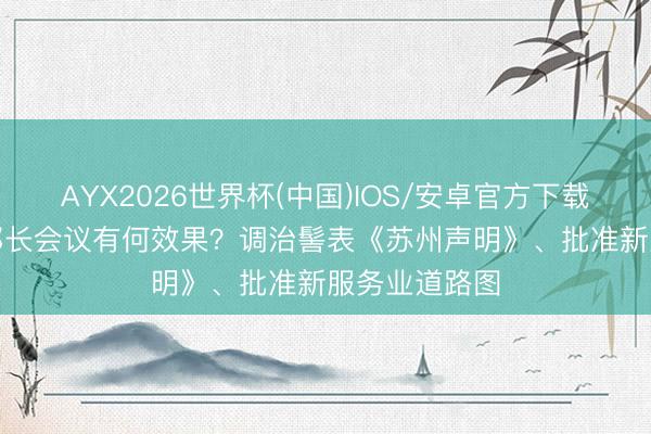 AYX2026世界杯(中国)IOS/安卓官方下载 APEC生意部长会议有何效果？调治髻表《苏州声明》、批准新服务业道路图