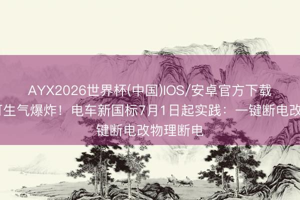 AYX2026世界杯(中国)IOS/安卓官方下载 电板不可生气爆炸！电车新国标7月1日起实践：一键断电改物理断电