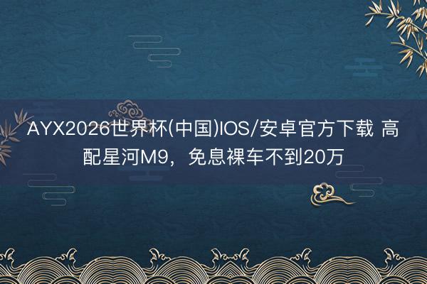 AYX2026世界杯(中国)IOS/安卓官方下载 高配星河M9，免息裸车不到20万