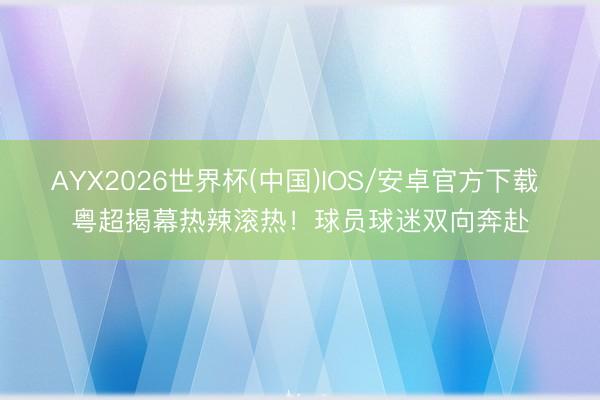 AYX2026世界杯(中国)IOS/安卓官方下载 粤超揭幕热辣滚热！球员球迷双向奔赴
