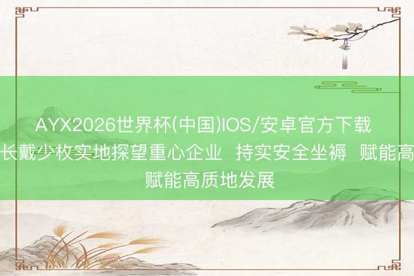 AYX2026世界杯(中国)IOS/安卓官方下载 连州市市长戴少枚实地探望重心企业 持实安全坐褥 赋能高质地发展