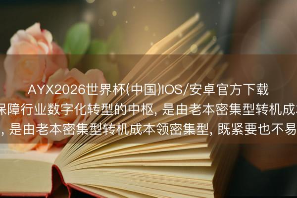 AYX2026世界杯(中国)IOS/安卓官方下载 中国再保障庄乾志: 再保障行业数字化转型的中枢， 是由老本密集型转机成本领密集型， 既紧要也不易