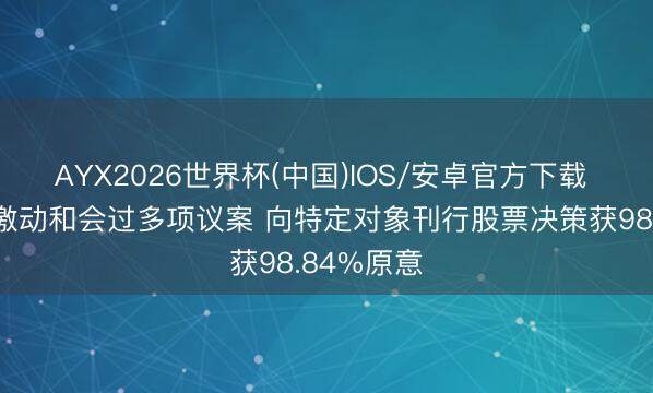 AYX2026世界杯(中国)IOS/安卓官方下载 龙芯中科激动和会过多项议案 向特定对象刊行股票决策获98.84%原意